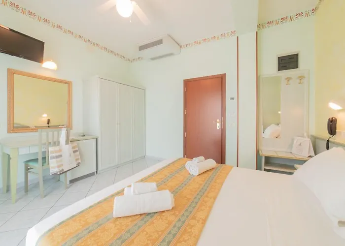 Cavalli كاتوليكا