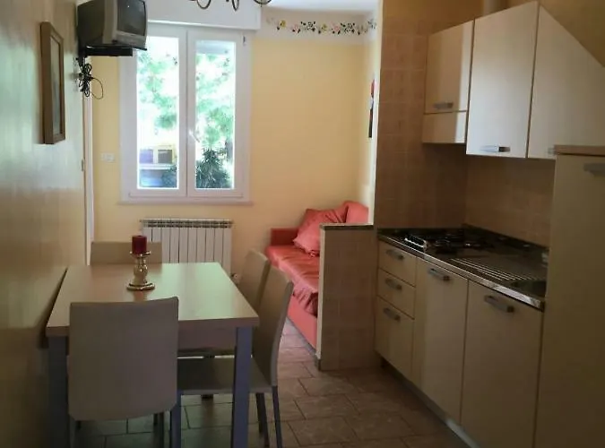 Cavalli 카톨리카